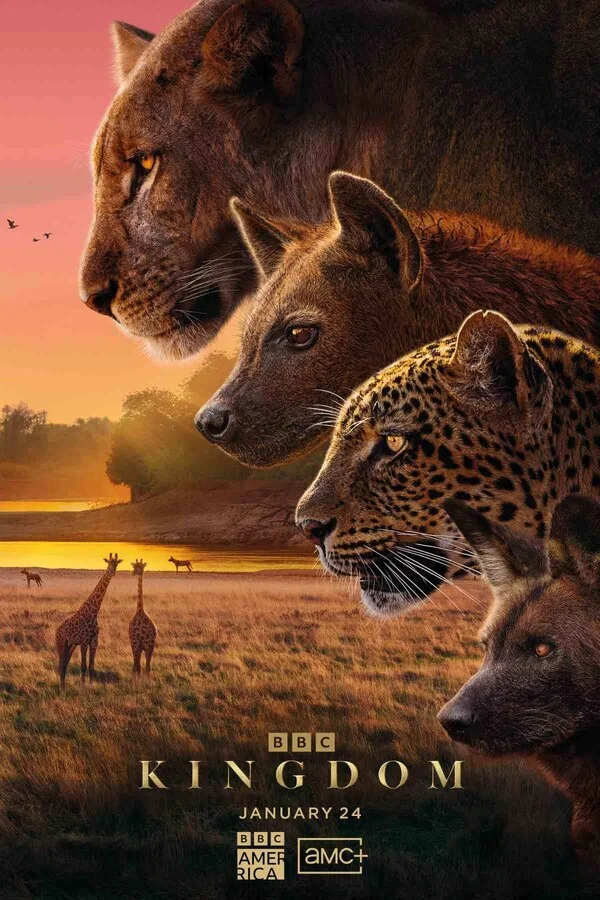 Царство животных Постер